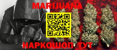 индика Сланцы