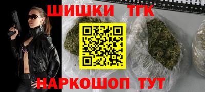 индика Сланцы