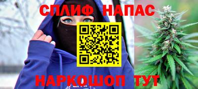 индика Сланцы