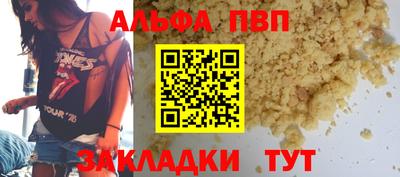 индика Сланцы