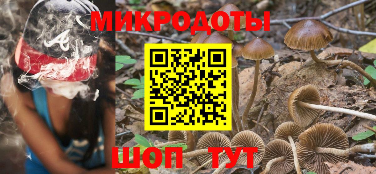 Галлюциногенные грибы мухоморы Подольск