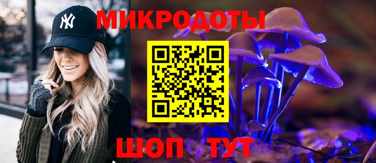Галлюциногенные грибы Psilocybine cubensis  Вход с VPN  Подольск 